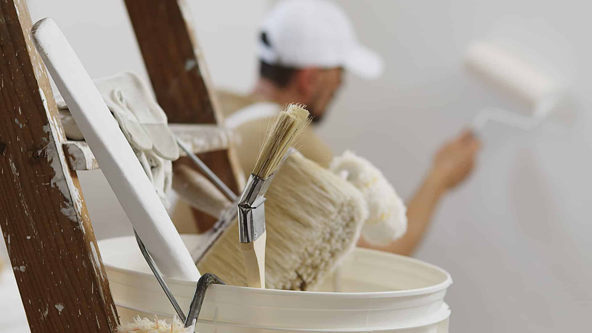 malermeister bode malerarbeiten malerutensilien